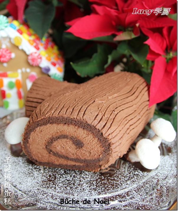 圣诞树桩蛋糕--Buche de Noel / Yule Log 