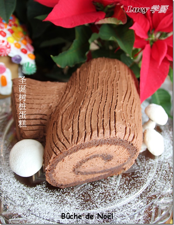聖誕樹樁蛋糕--Buche de Noel / Yule Log 