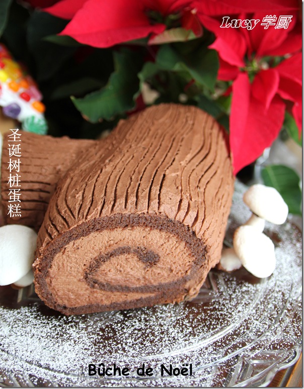 圣诞树桩蛋糕--Buche de Noel / Yule Log 