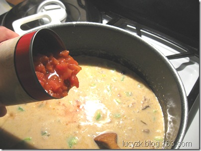 玉米饼火鸡汤 / Turkey Tortilla Soup